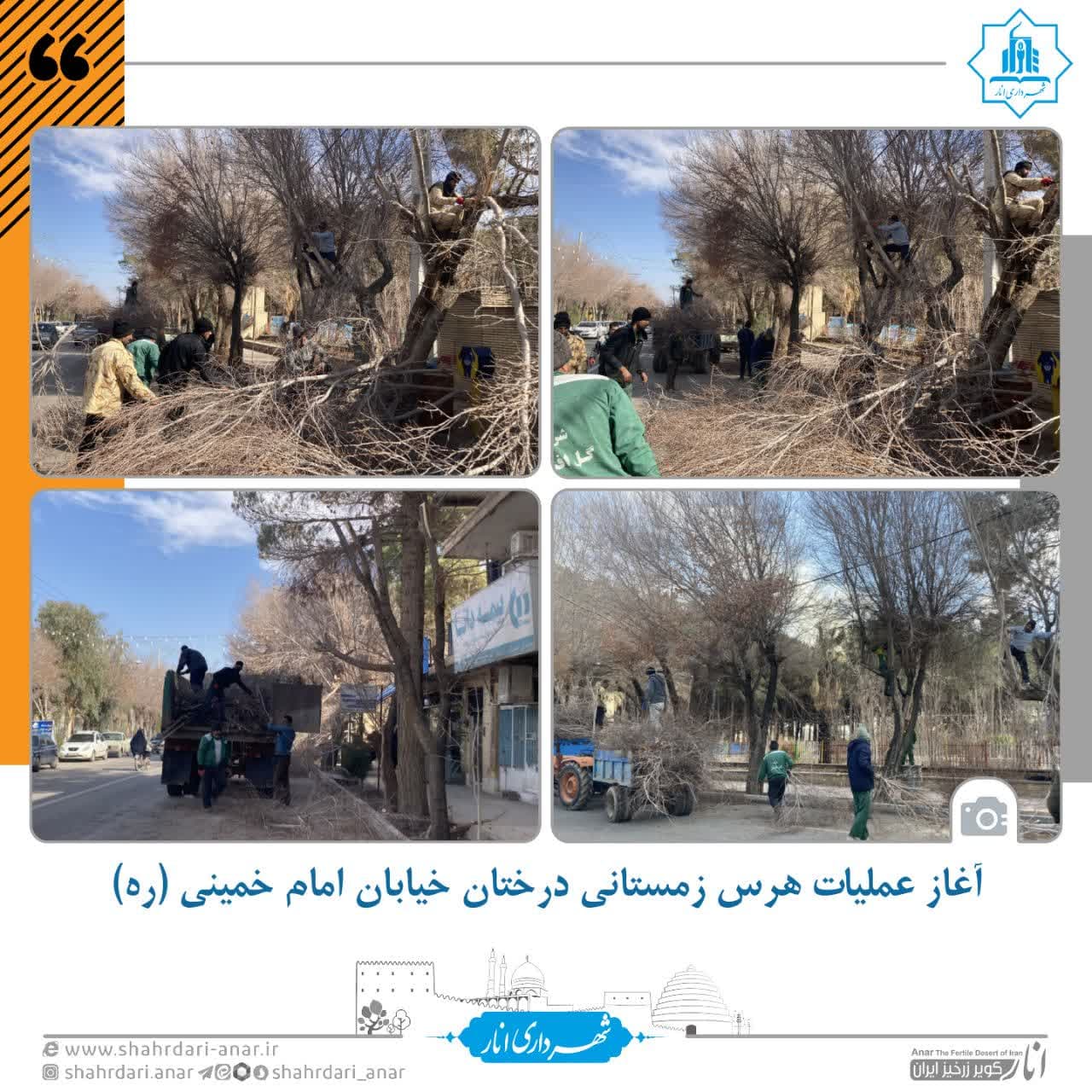 آغاز عملیات هرس زمستانی درختان خیابان امام خمینی (ره)