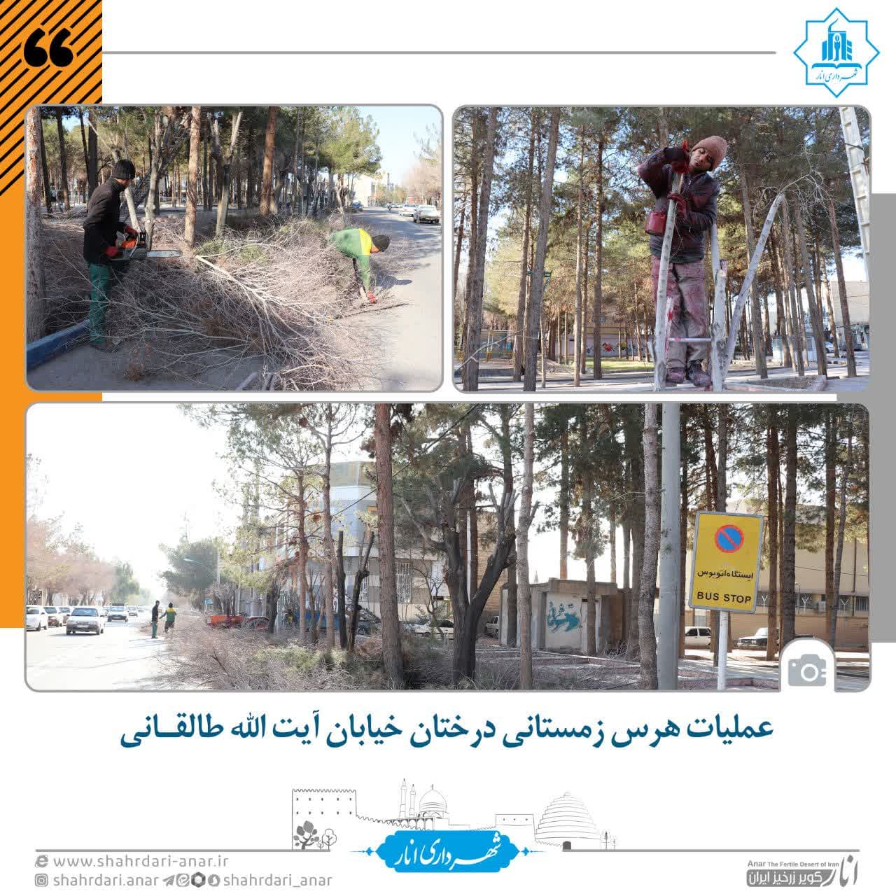 عملیات هرس زمستانی درختان خیابان آیت الله طالقانی