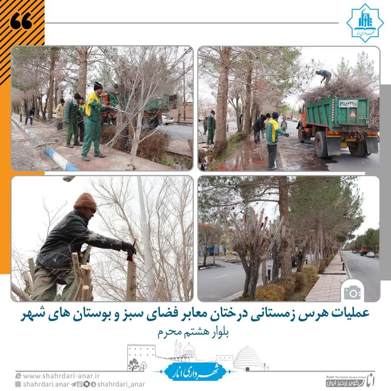 عملیات هرس زمستانی درختان معابر فضای سبز و بوستان های شهر
