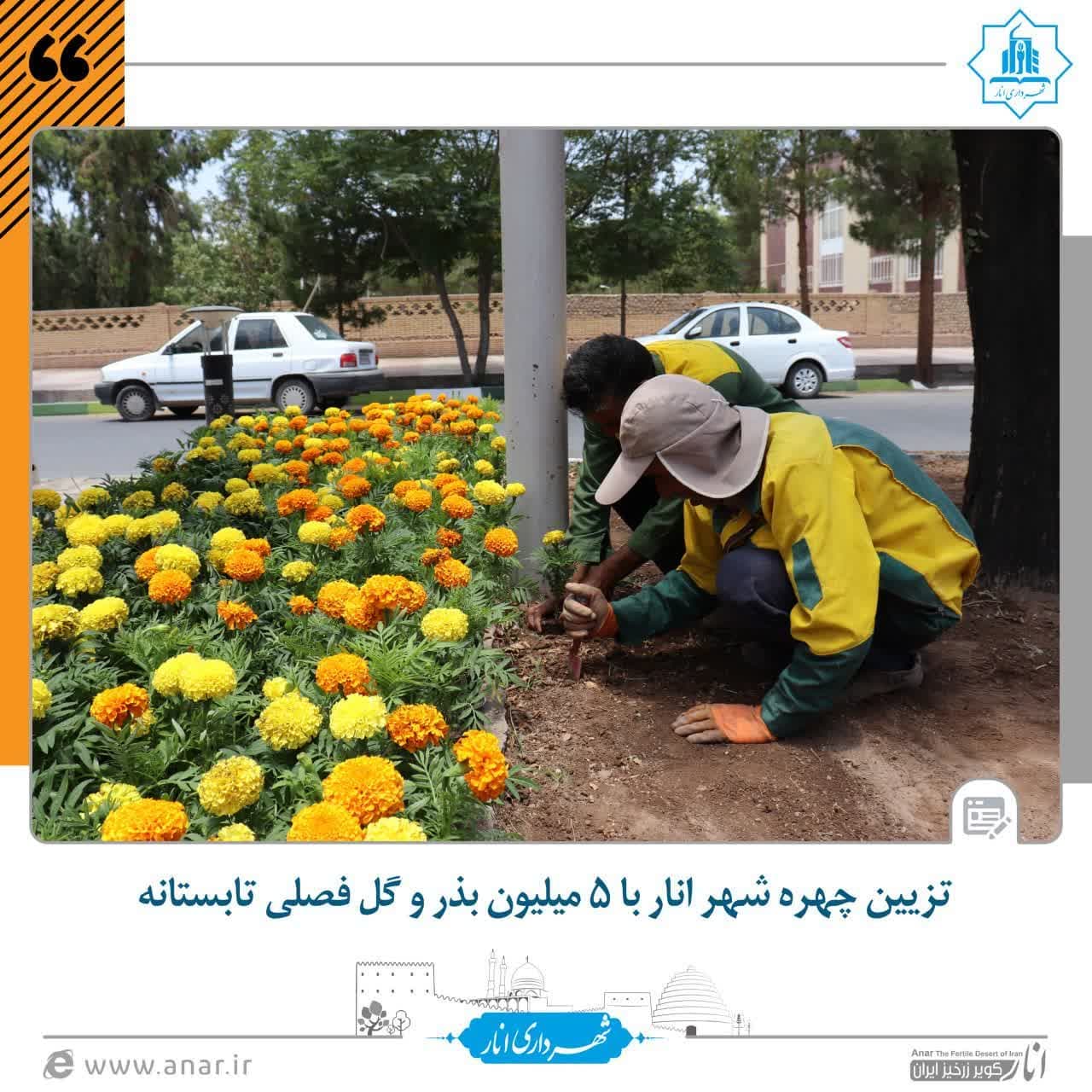 تزیین چهره شهر انار با ۵ میلیون بذر و گل فصلی تابستانه