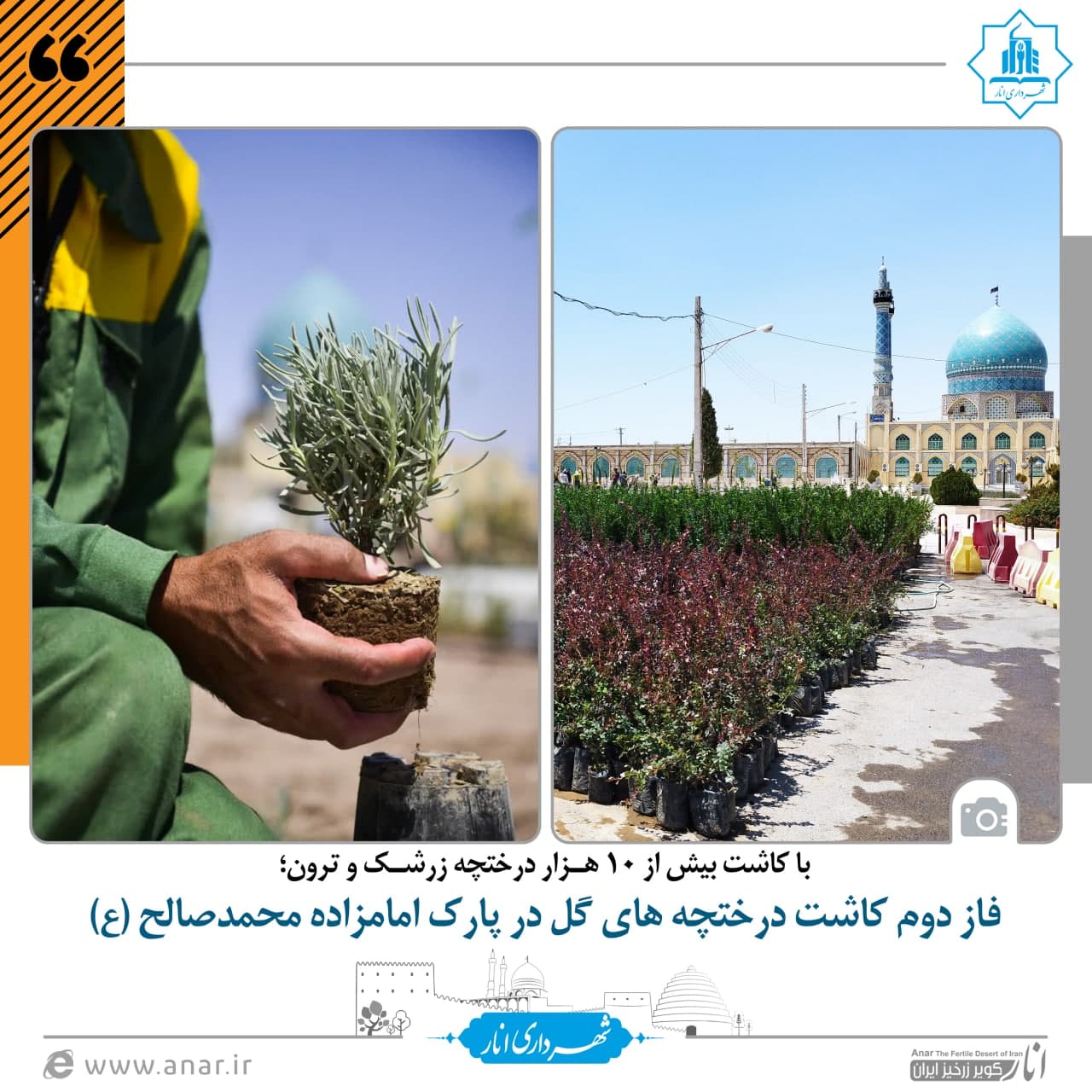 فاز دوم کاشت درختچه های گل در پارک امامزاده محمدصالح (ع)