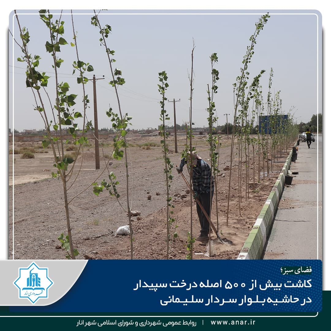کاشت بیش از ۵۰۰ اصله درخت سپیدار در حاشیه بلوار سردار سلیمانی